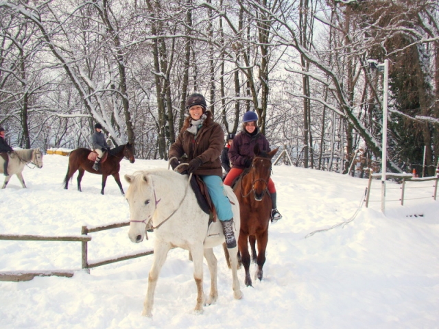  Paseos a caballo en la nieve 